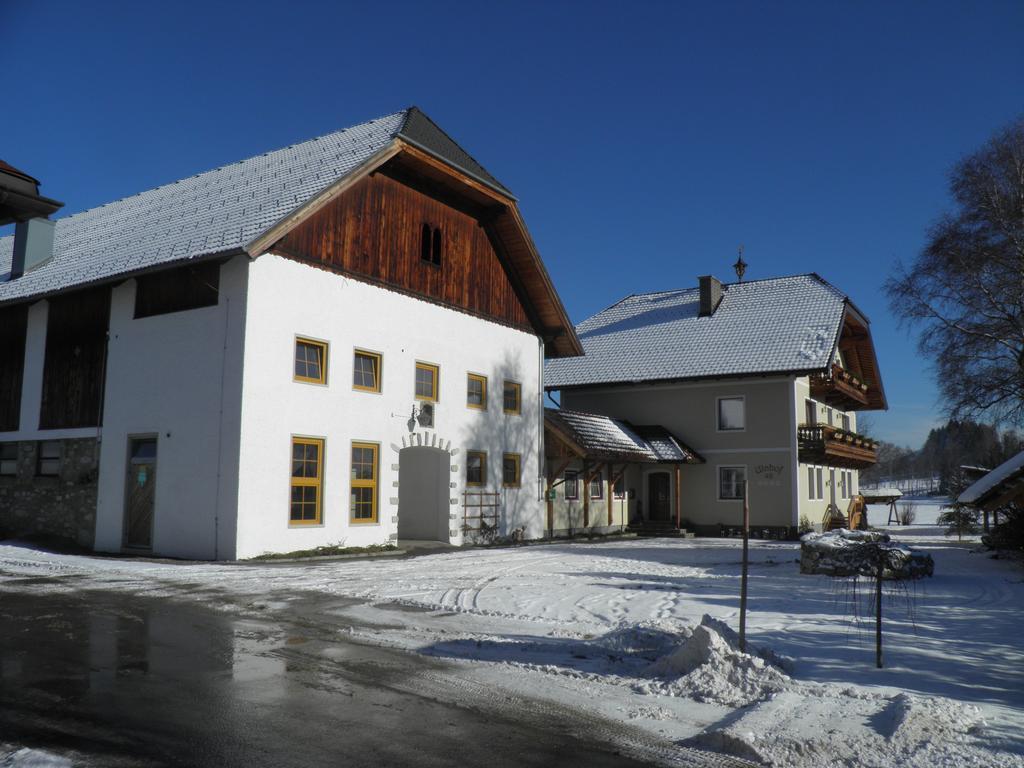 Ferienwohnung Ulnhof Mariapfarr Exterior foto